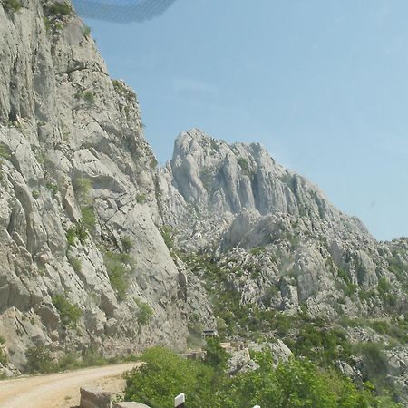 Micanovi Dvori Mobile Home Village Zrmanja オブロヴァツ エクステリア 写真