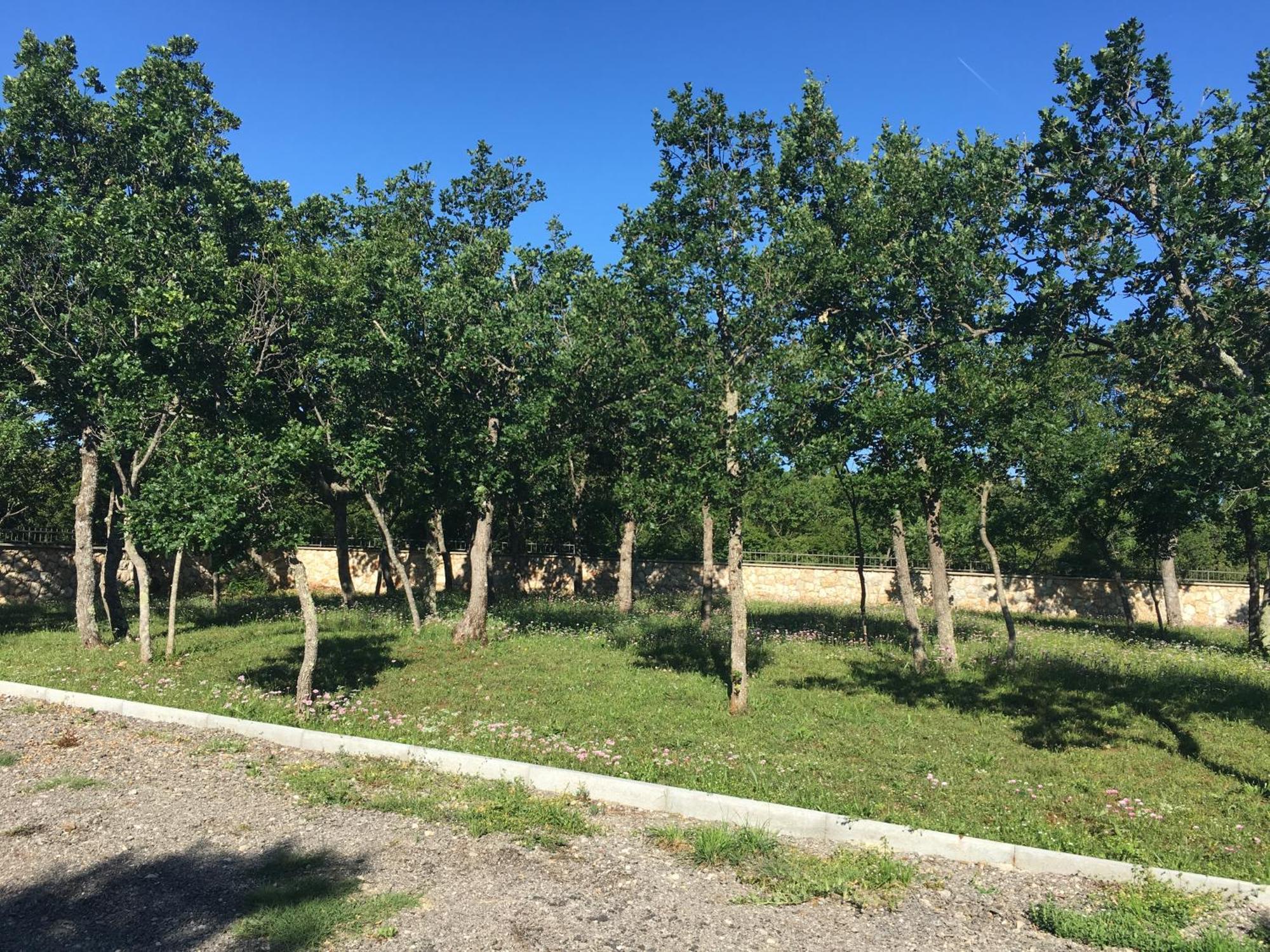 Micanovi Dvori Mobile Home Village Zrmanja オブロヴァツ エクステリア 写真